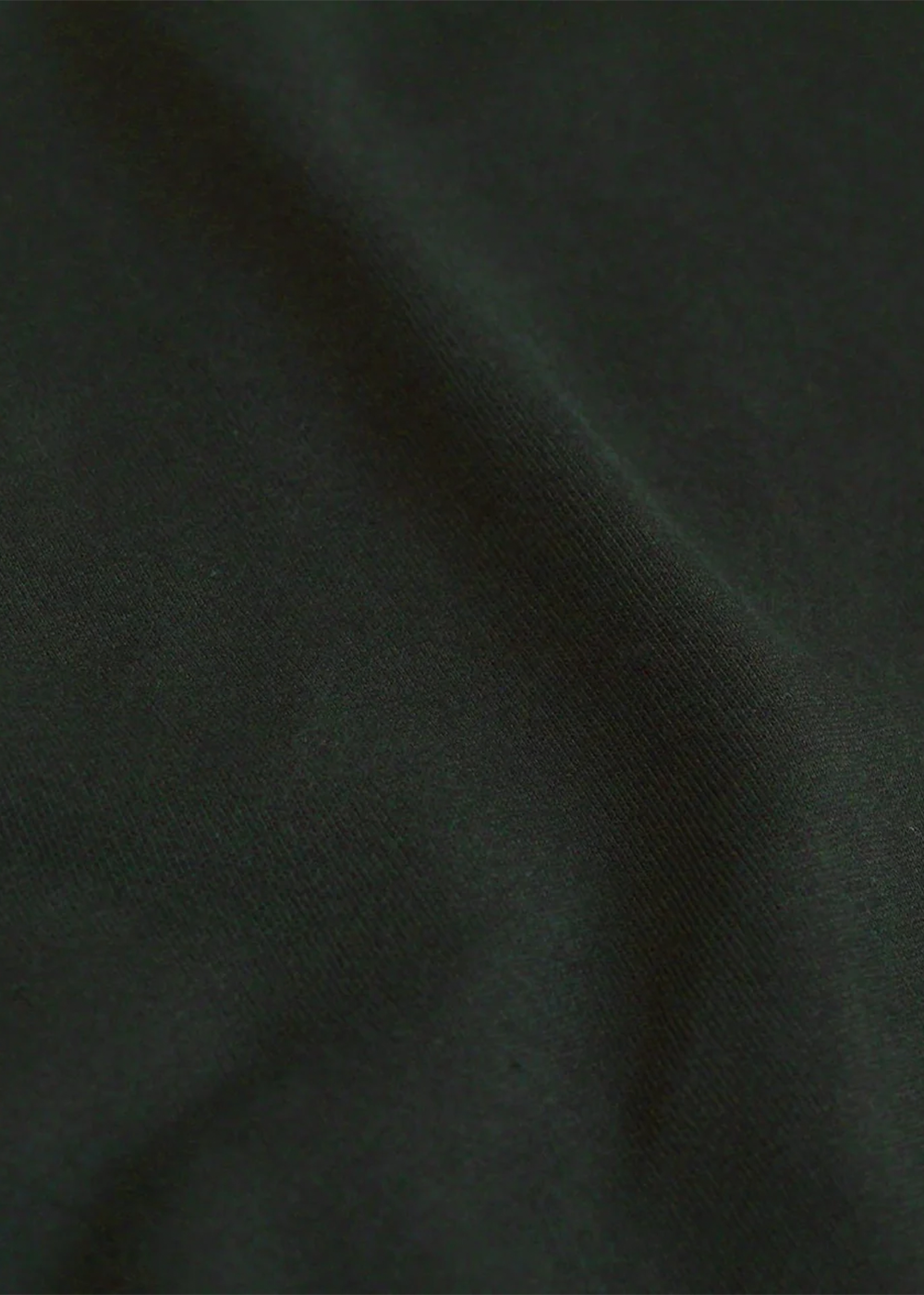Classic Organic Tee - Hunter Green - Colorful Standard Canada - Danali