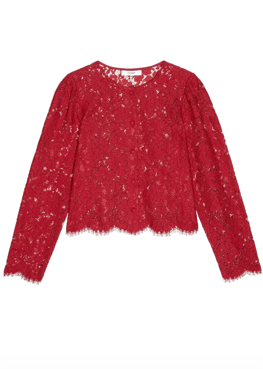 The Lace Blouse