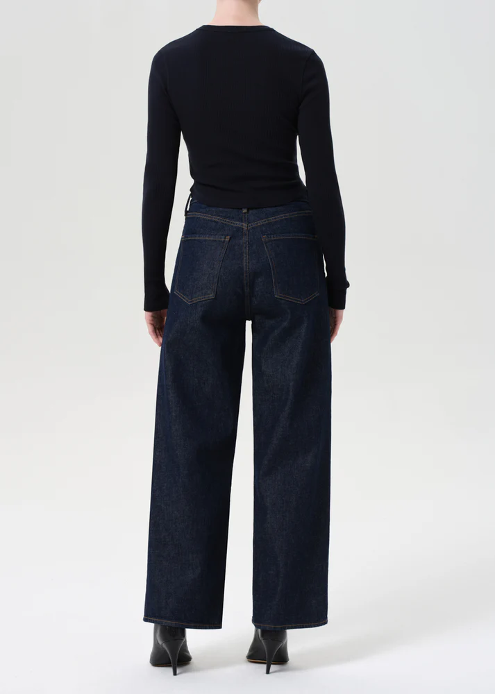 Ren High Rise Wide Leg Jean - Reissue - AGOLDE Canada - Danali