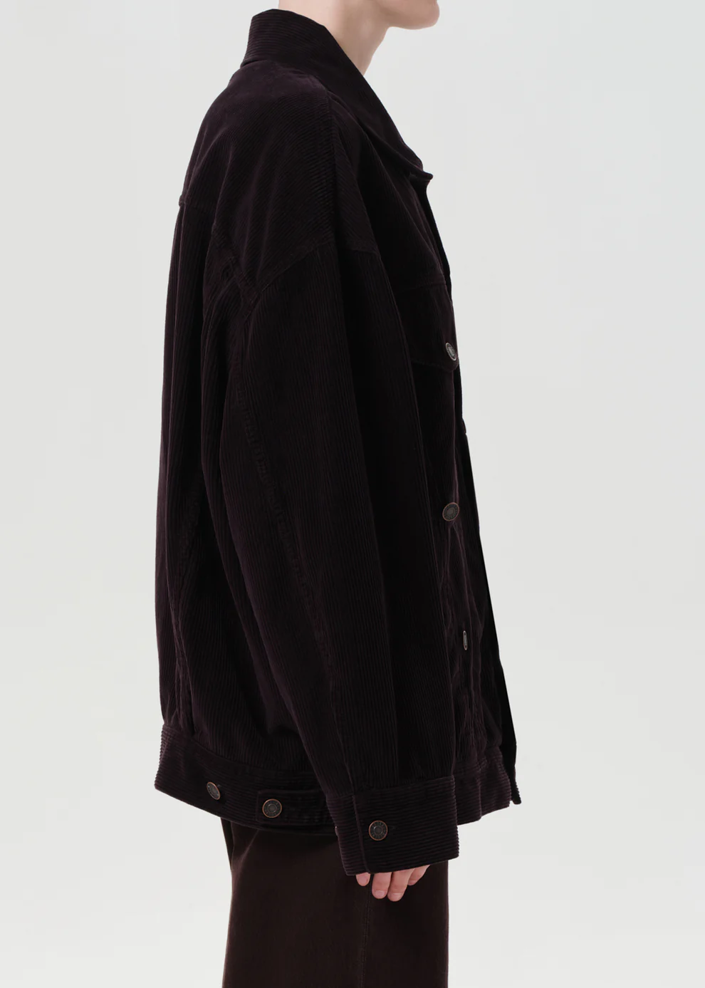 Reworked Wayne Jacket - Firefly  AGOLDE Canada - Danali
