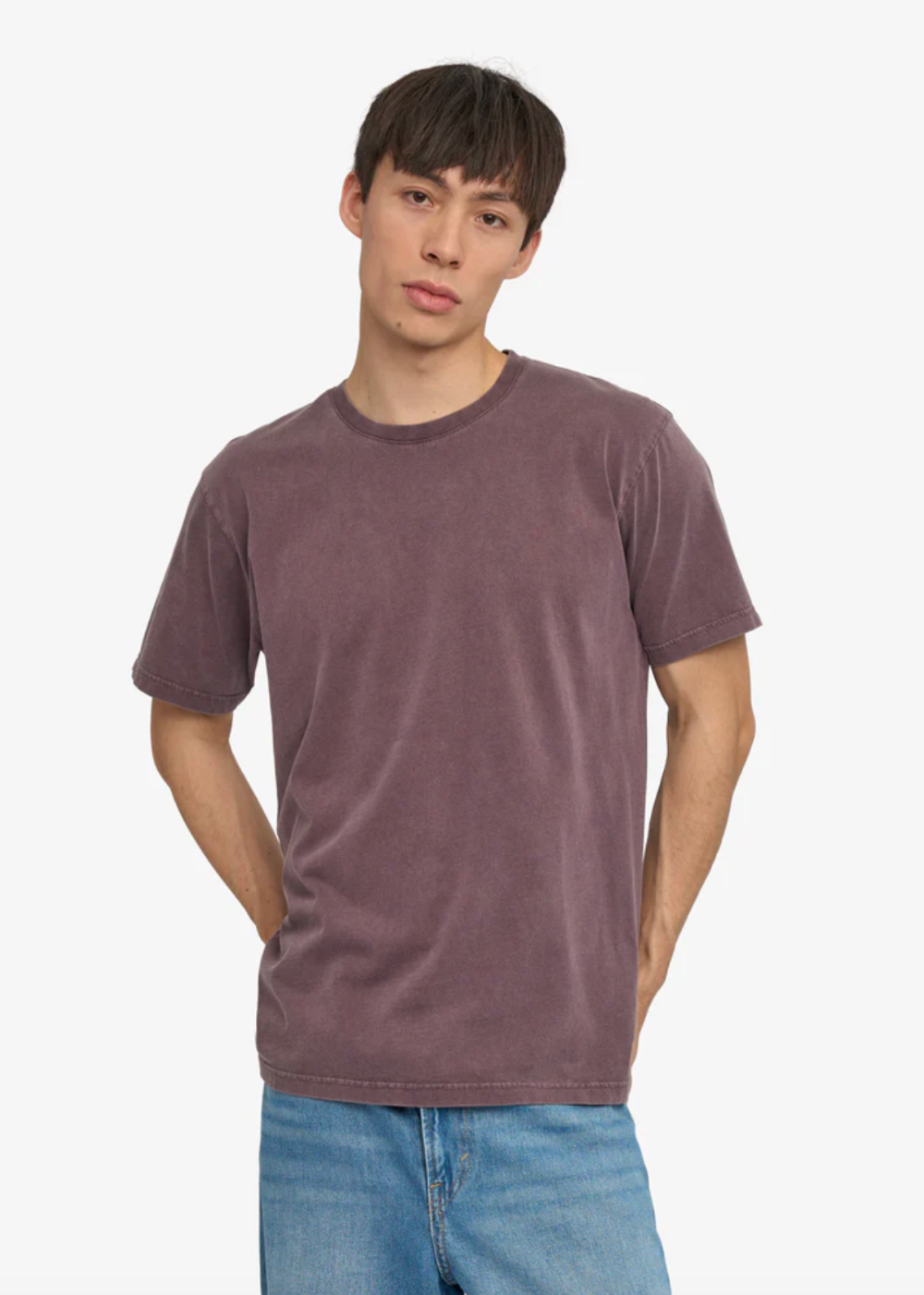 Classic Organic Tee - Faded Grape - Colorful Standard Canada - Danali - CS1001