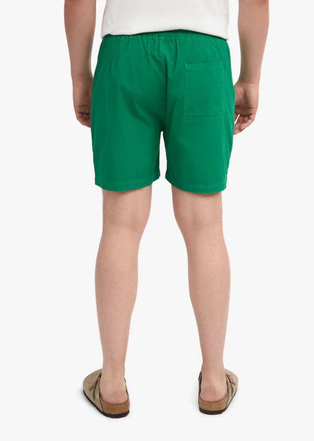 Organic Twill Shorts - Kelly Green - Colorful Standard Canada - Danali - CS4001