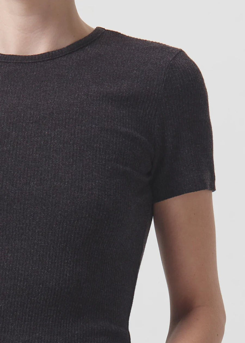 Harri Shrunken T-Shirt - AGOLDE - Danali - A7228-1352-PASHA-XS