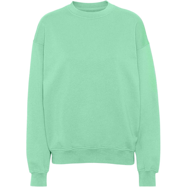 Organic Oversized Crewneck Sweater - Colorful Standard - Danali - CS1012-SeafoamGreen-S