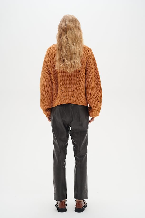 Wrylie Leather Pants - InWear - Danali - 30108741-910-4